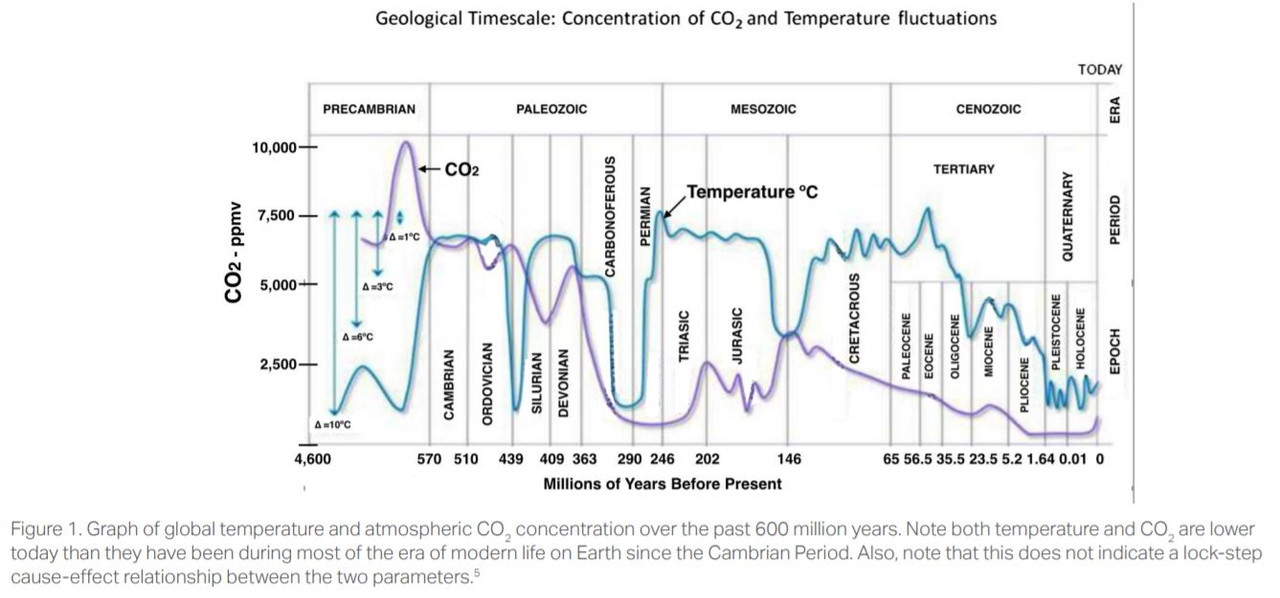 CO2 temperature 600 million years