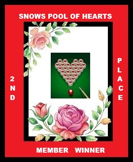 snows mem pool 2nd