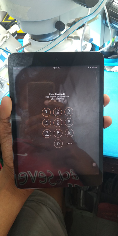 117335129_223672758943731_7351325825575380117_n