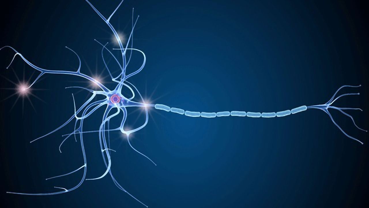 MS Specialist training