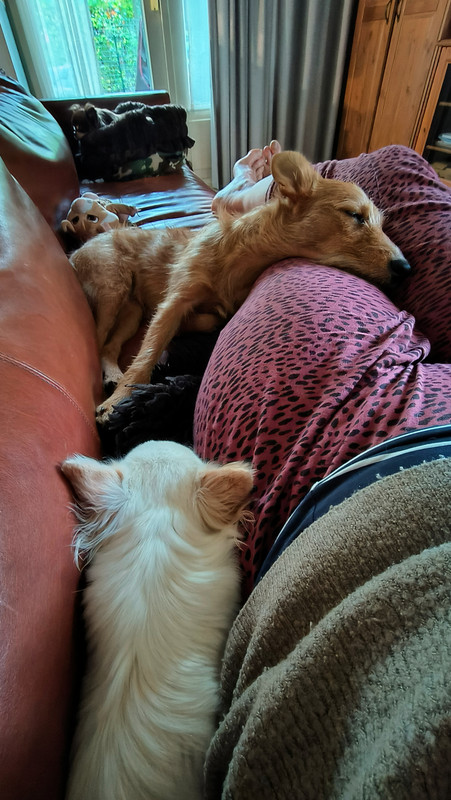 Lumii_20251019_133620544