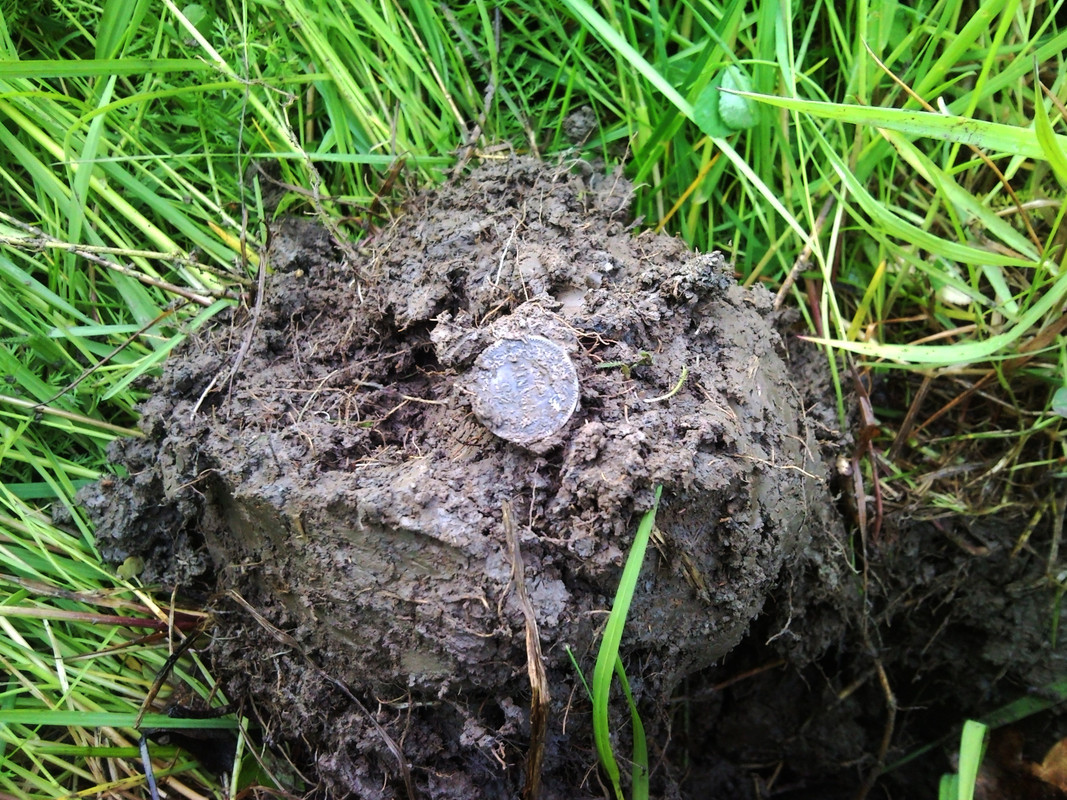 2015-06-01 @20-02-10 - 25 penniä 1875 hopeaa