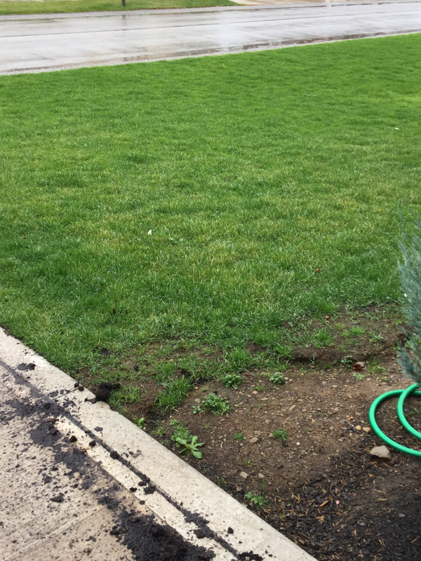 A6699C73-6722-41AF-9A58-BDA20E59A460