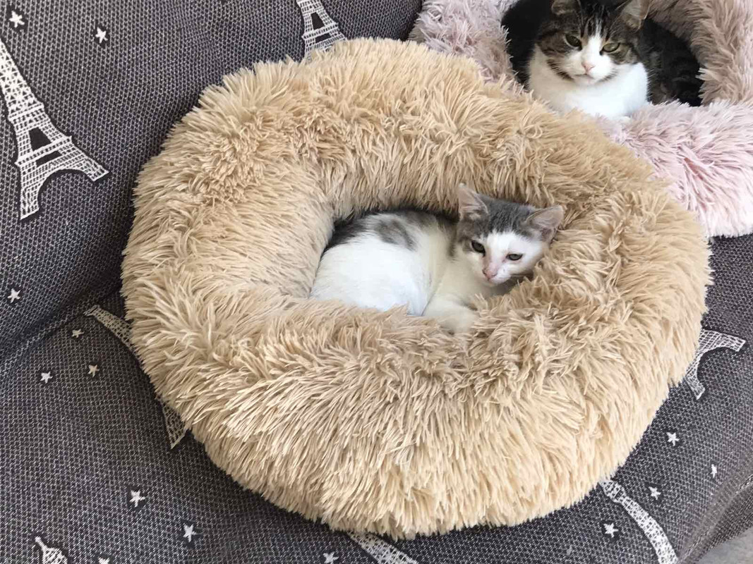 0F232FF6-1D49-4125-AE4F-747AC926D6B4