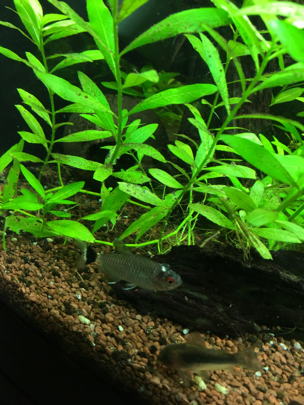 1662AB45-CCC3-4008-B967-372A51E8BBE0