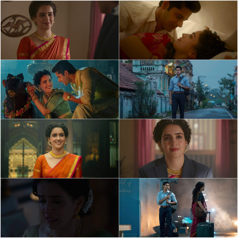 Meenakshi Sundareshwar (2021) DS4K Hindi Movie HD ESub screenshot