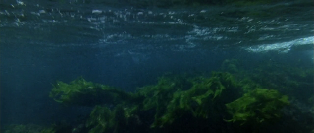 45617206877150857773