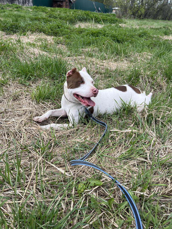 E11F8FB8-4188-4F4D-A4AC-2B258EDD3890