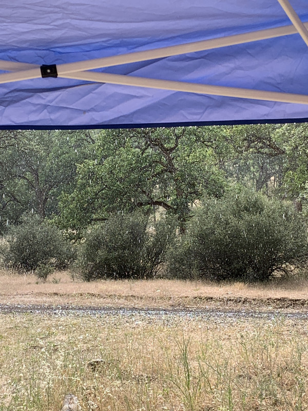 EBAAD89E-E729-420E-B54A-19C2D9FB73E5