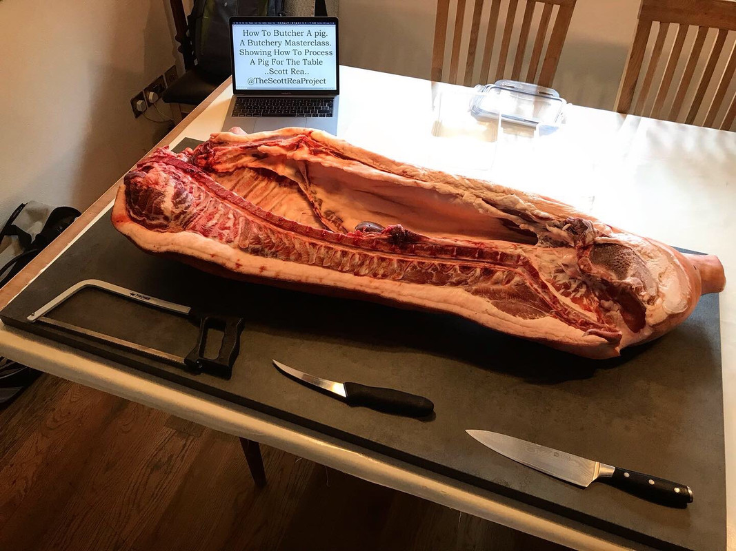 518DBB0F-561A-4960-805E-0227869AEBEE