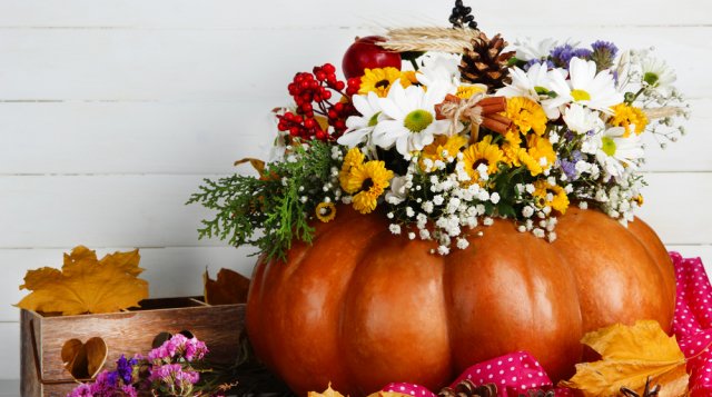 [Image: images-cms-image-000063231.jpg]