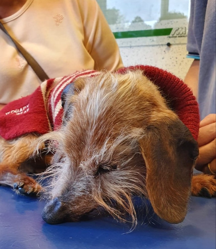 [Image: 20221006-221407.jpg]