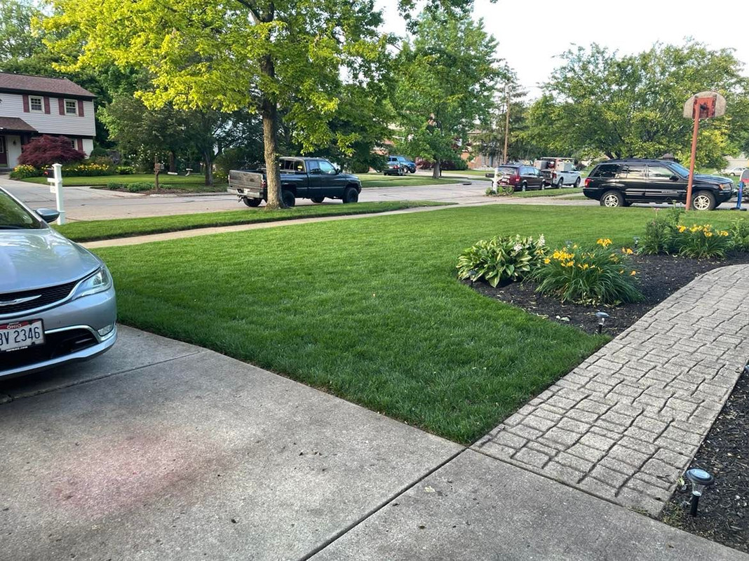 KBG front yard reno Page 2 The Lawn Forum