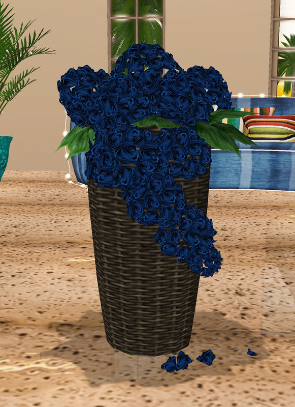 Blue-Plant