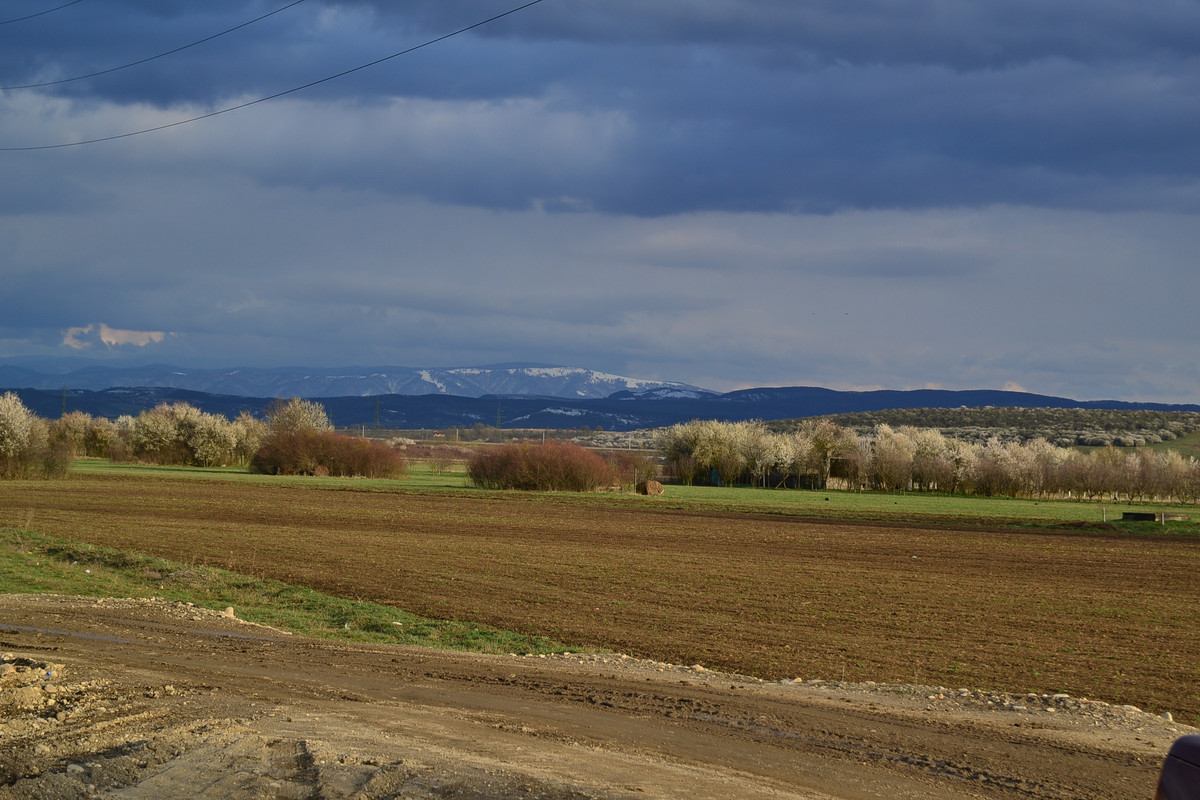 DSC_5059