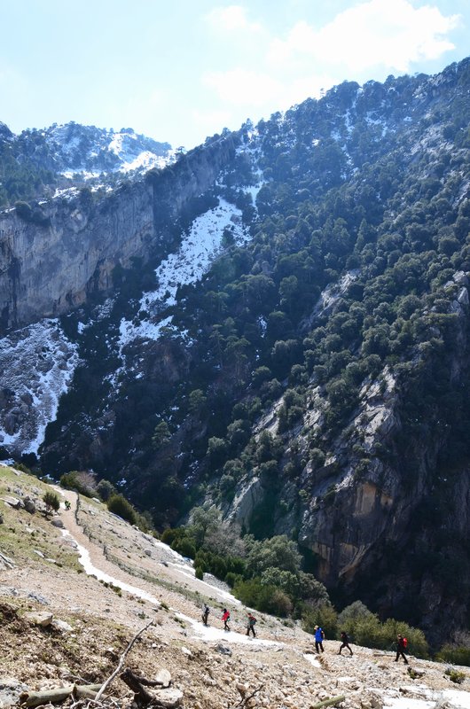 RUTA RIO BOROSA-12-3-2016-JAEN - Paseando por España-1991/2016 (128)