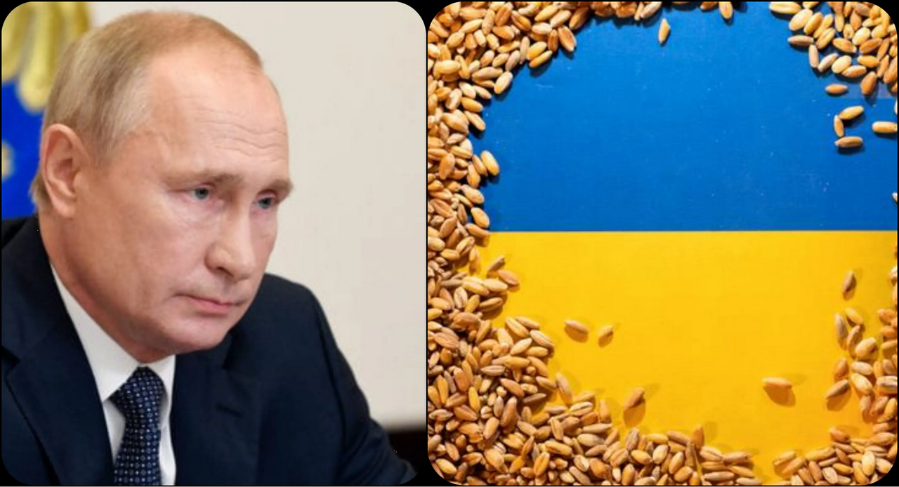 Putin ofrece exportar cereales gratis a África si fracasa el acuerdo con Ucrania