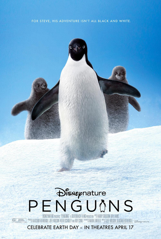 Penguins (2019) avi WEBRip XviD MP3 - Subbed ITA