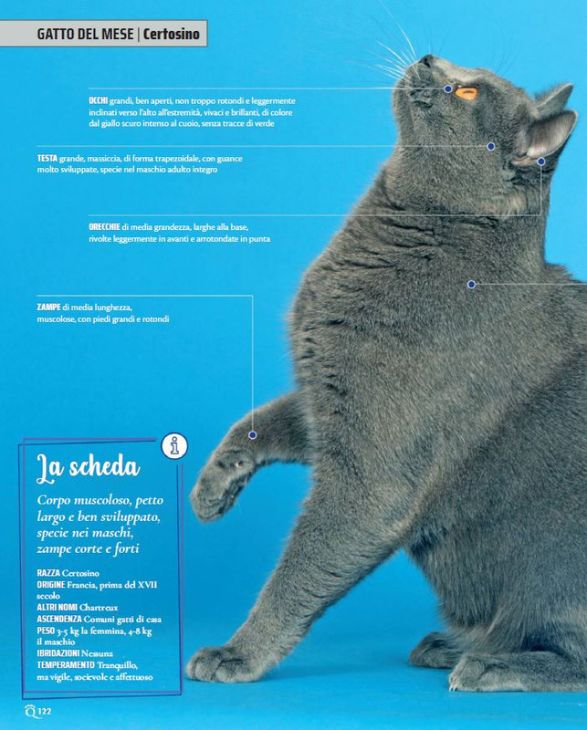 QuattroZampe Ott 2022 (11)