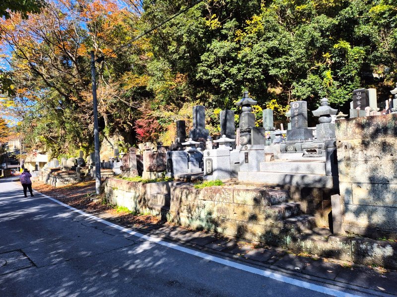 Japón y sus Pueblos-2024 - Blogs de Japon - Heiwa Kannon y Templo Ooyaji-13-11-2024 (7)
