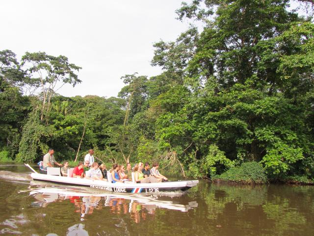 COSTA RICA 2012 (Luna de miel) - Blogs de Costa Rica - 3º DÍA:  TORTUGUERO (1)