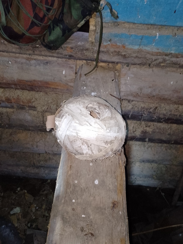 IMG_20231208_100249_430