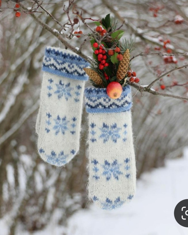 Screenshot_20231221_224905_Pinterest