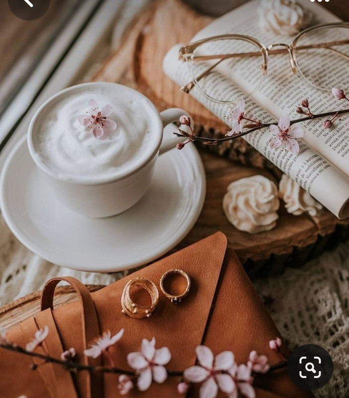 Screenshot_20231122_214646_Pinterest