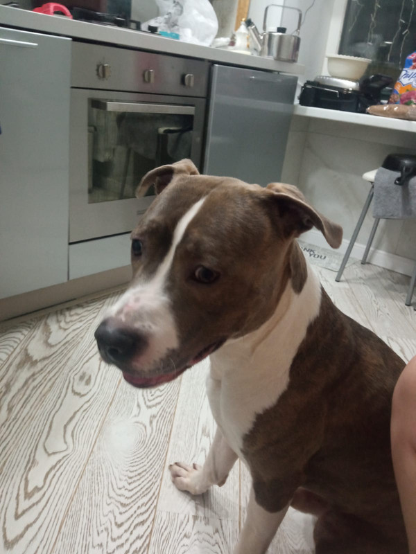 1B4C46A3-E6E2-4B13-8D0B-90999798C568