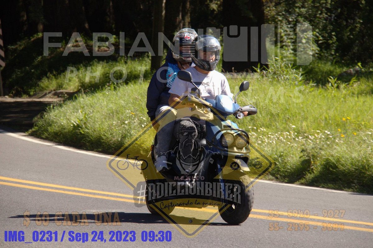 IMG 0231 — Postimages