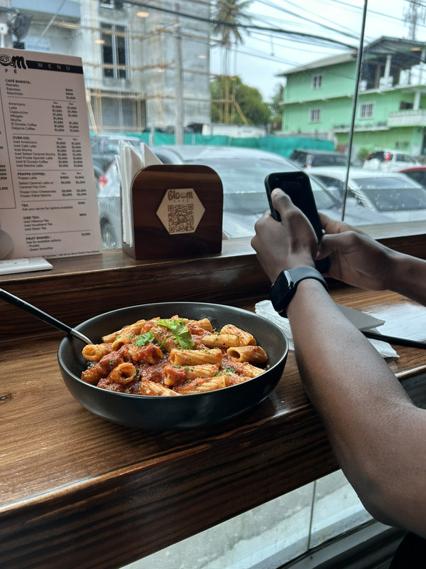 Michael A. Thom - Web developer and aeronautical engineer in Guyana