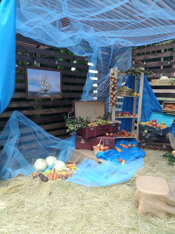 город-сад 2017-1-43