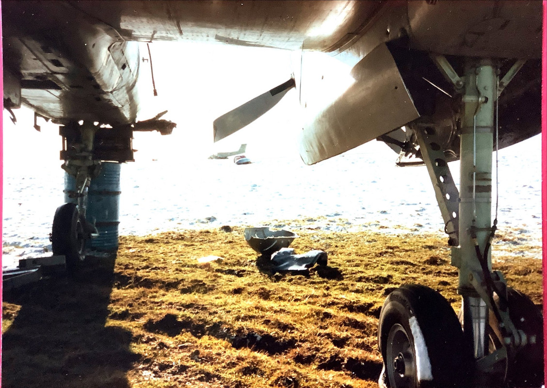 Goose Green FU0HiFrXwAM67Ne