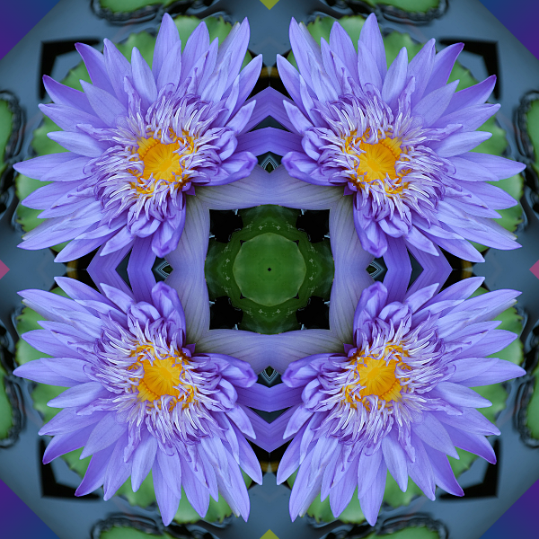 07-Januar2019-Mandala8.png