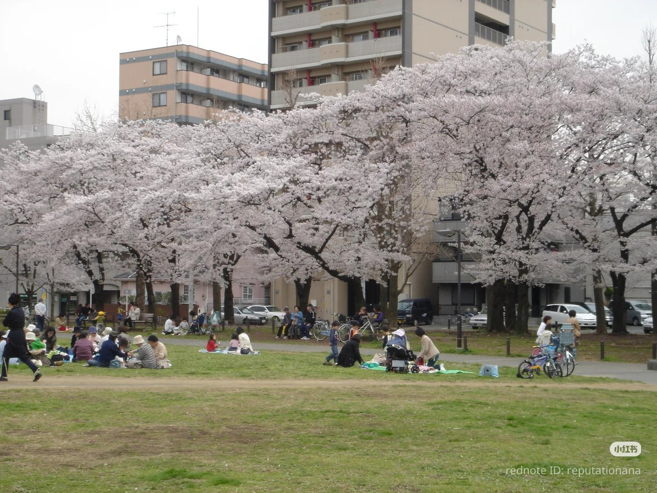 photo 35 2025 12 24 16 27 05