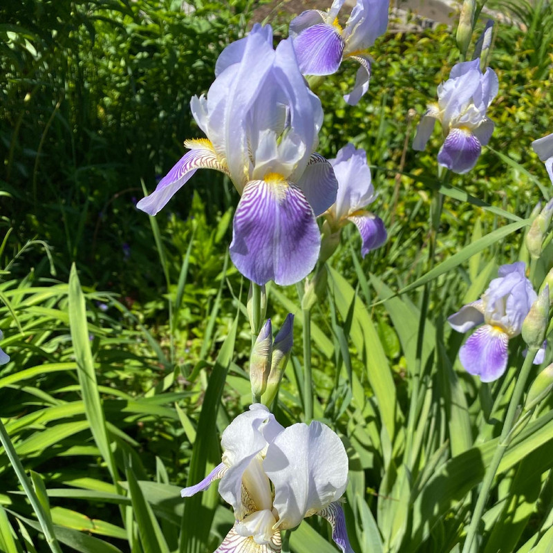 95EE92B5-C1F0-436D-BA6A-FDECD3864A88