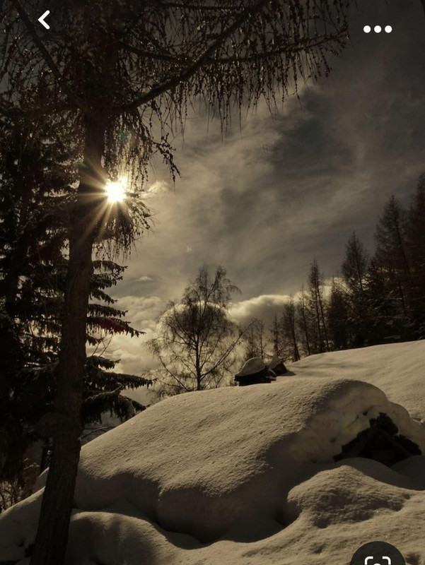 Screenshot_20231016_204057_Pinterest