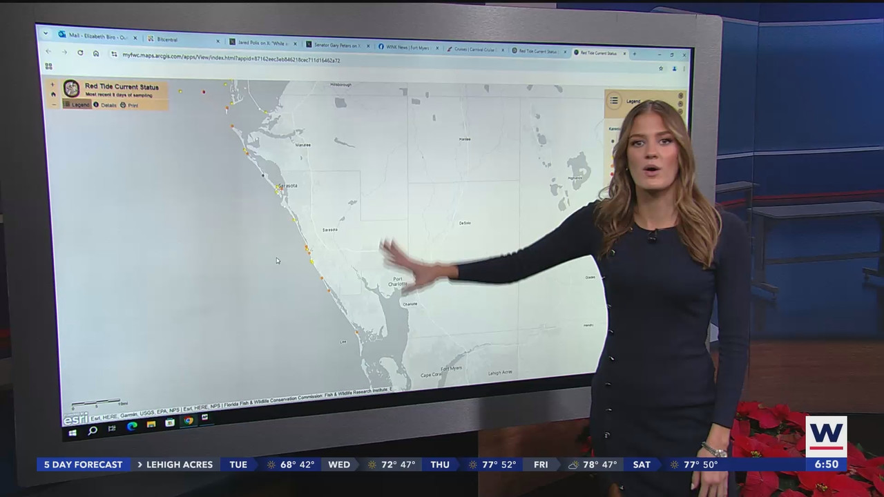 WINK News at 630am_20241203_11301200.ts_snapshot_21.05.161