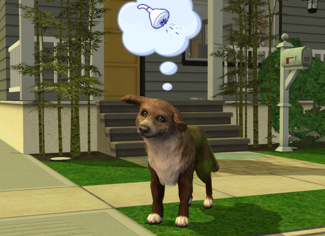 Sims2-EP9-RPC-2023-02-21-17-05-52-61