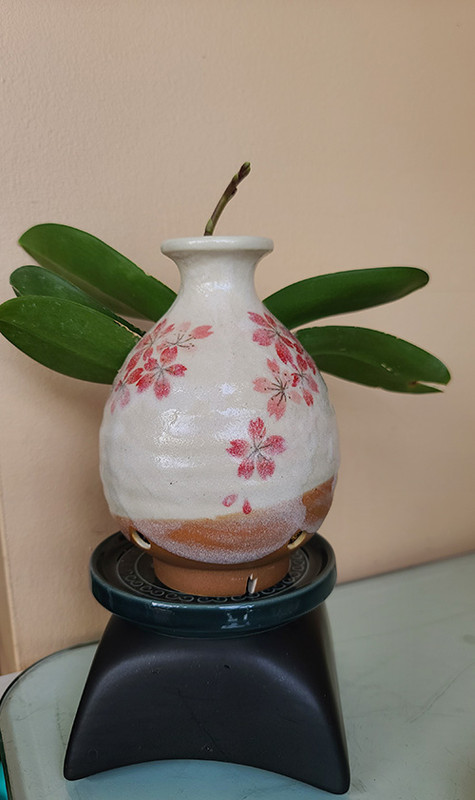 [Image: 20241114-105428.jpg]