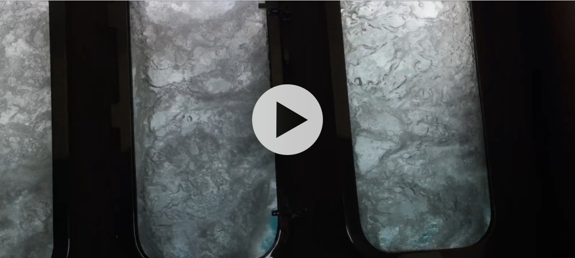 Cook Strait Underbelly