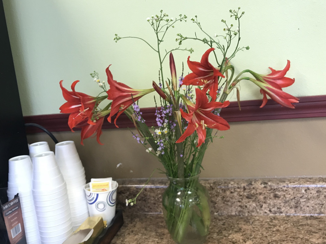 B974CFCD-FB92-473A-85D8-D1698FBD31A5