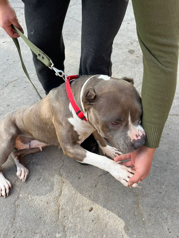 WhatsApp Image 2022-09-13 at 13.01.32 (1)