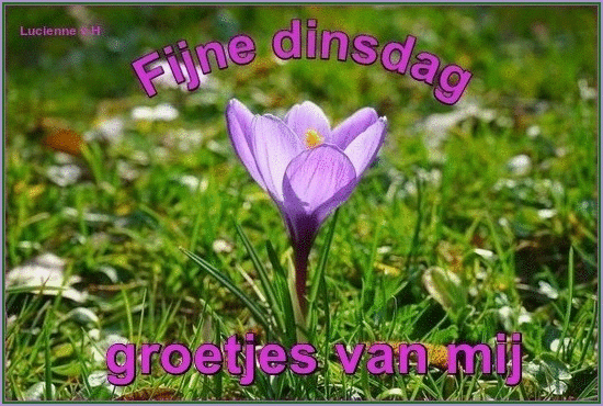 animaatjes-dinsdag-166073.gif