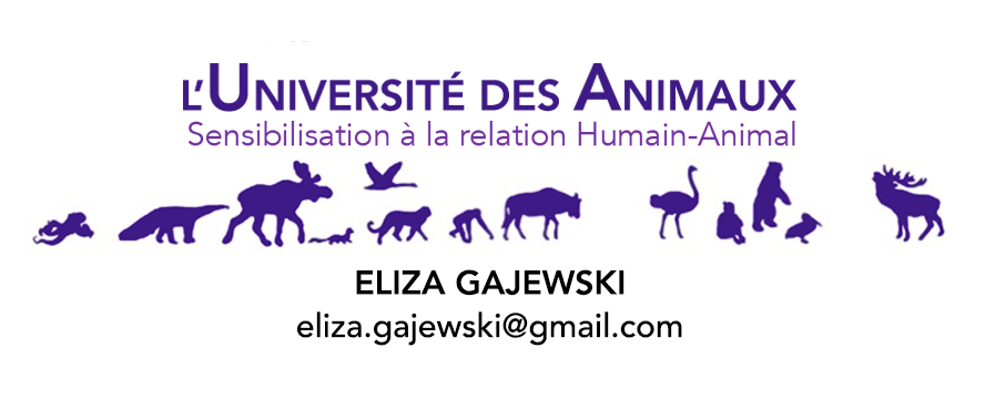 L’université des Animaux-Eliza Gajewski