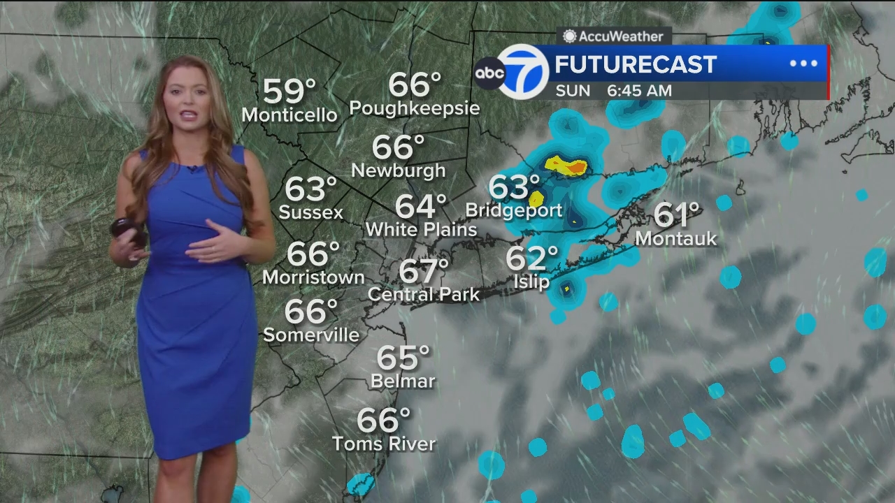 Eyewitness News Sunday Morning_20240526_11001230.ts_snapshot_00.49.32.144