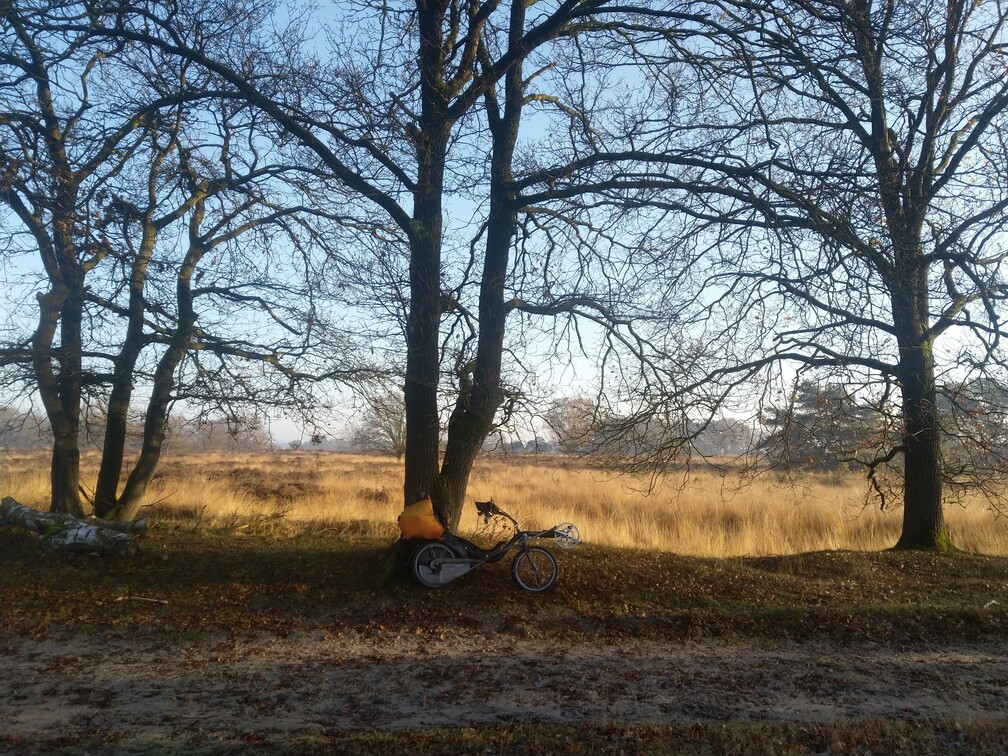 [Afbeelding: IMG-20241129-104928.jpg]