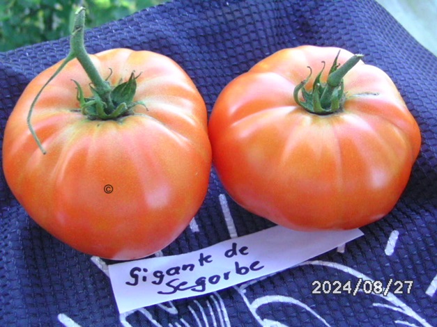 [Bild: BILD0359.jpg]