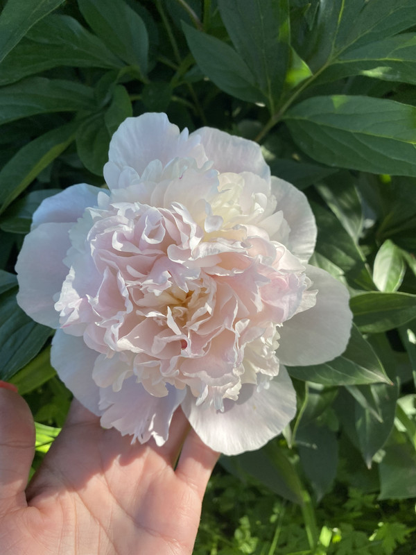 3C19BF48-C297-405D-A644-7A62A0A48714