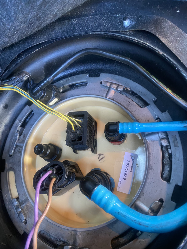 41234B53-EF29-4ACC-AAA6-A9459EB228D4